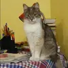 Отзыв от Марина Бородина